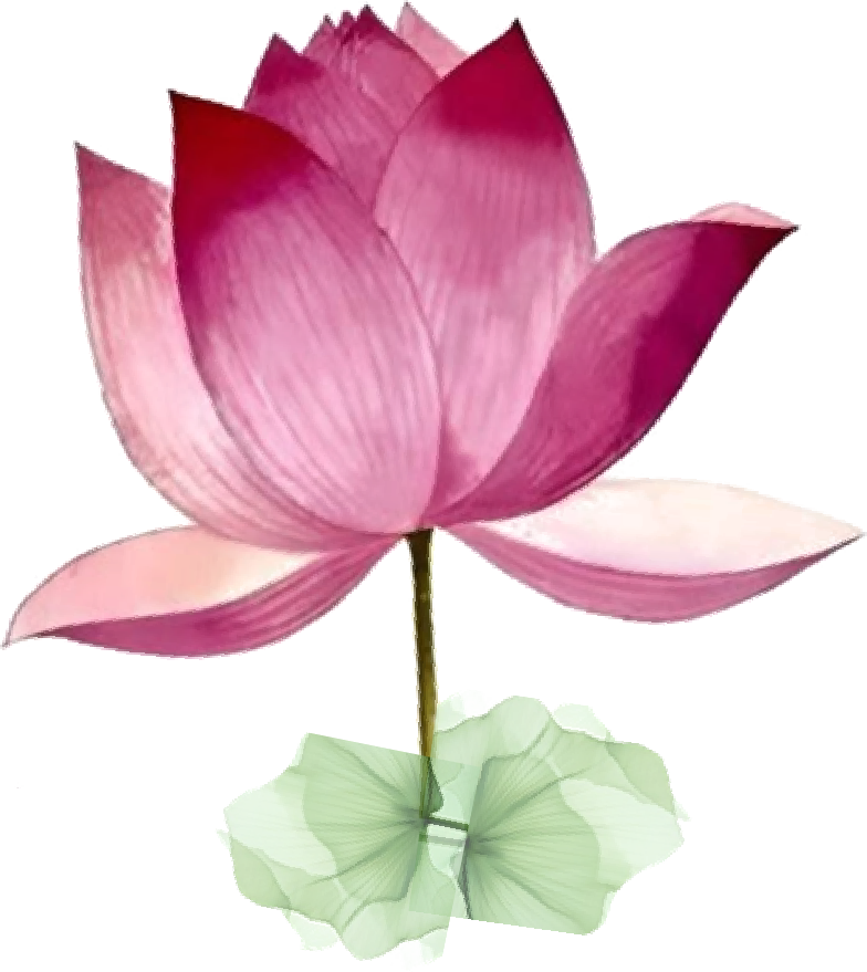 Zrivasa Lotus Blooming